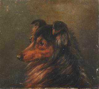 Filippo Palizzi - Pastore dello Shetland