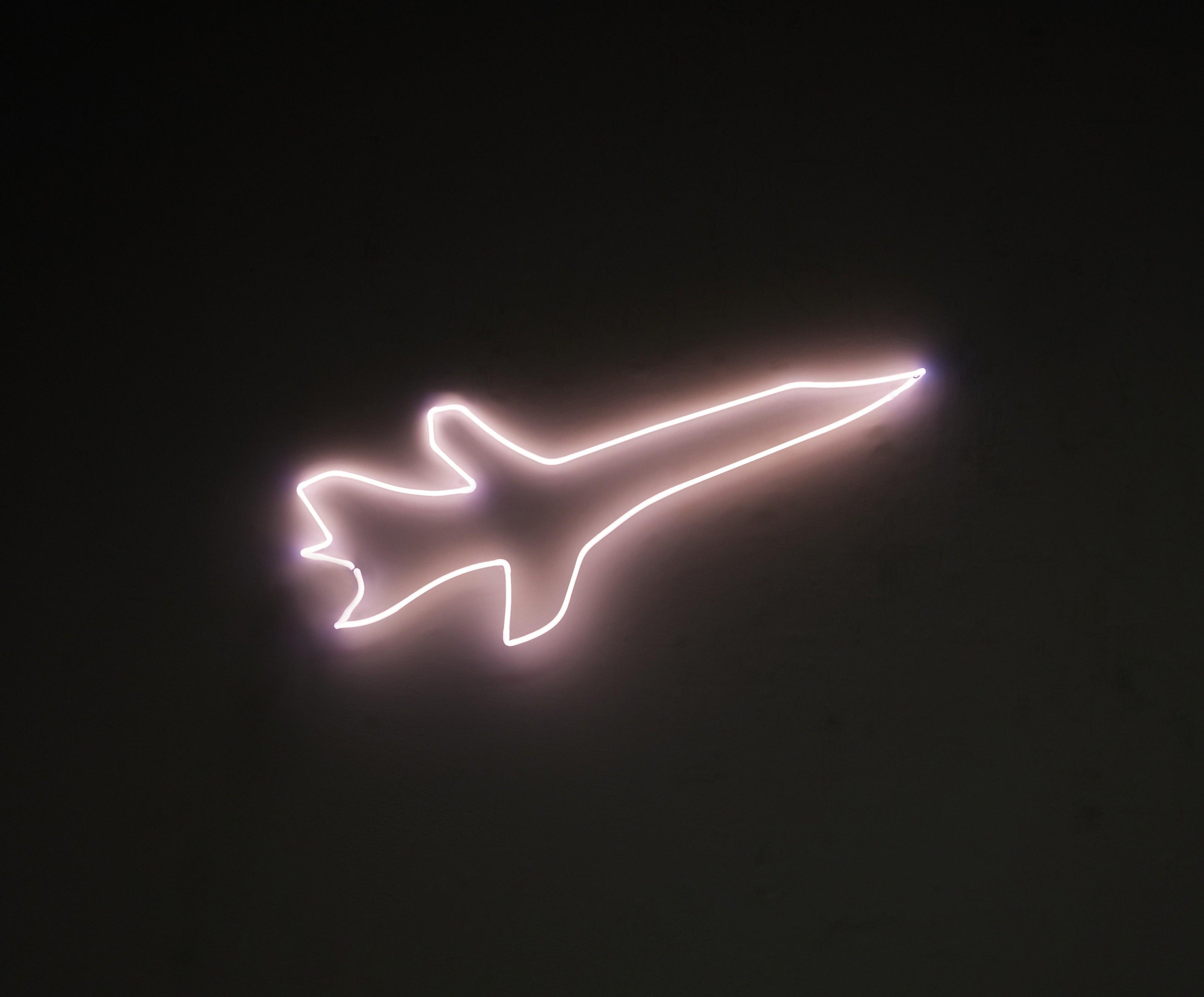 Fiona Banner - Blinder