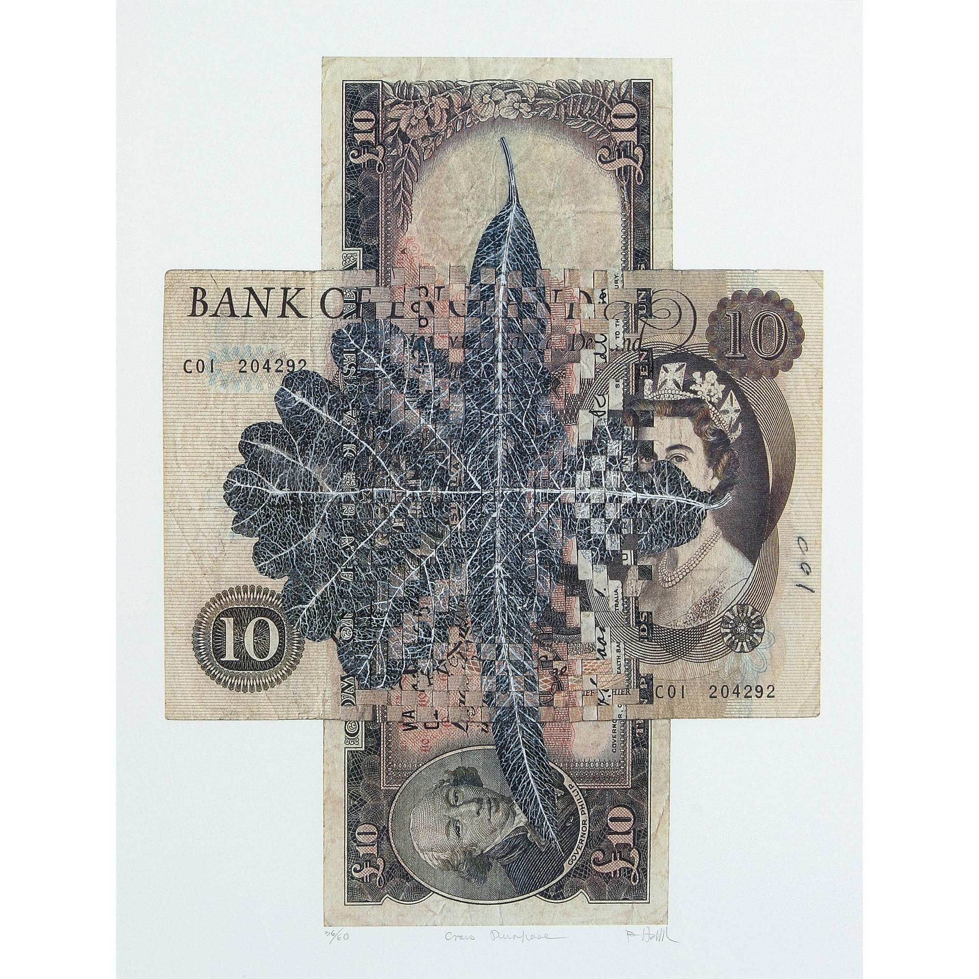 Fiona Hall - Australian Cross Purpose