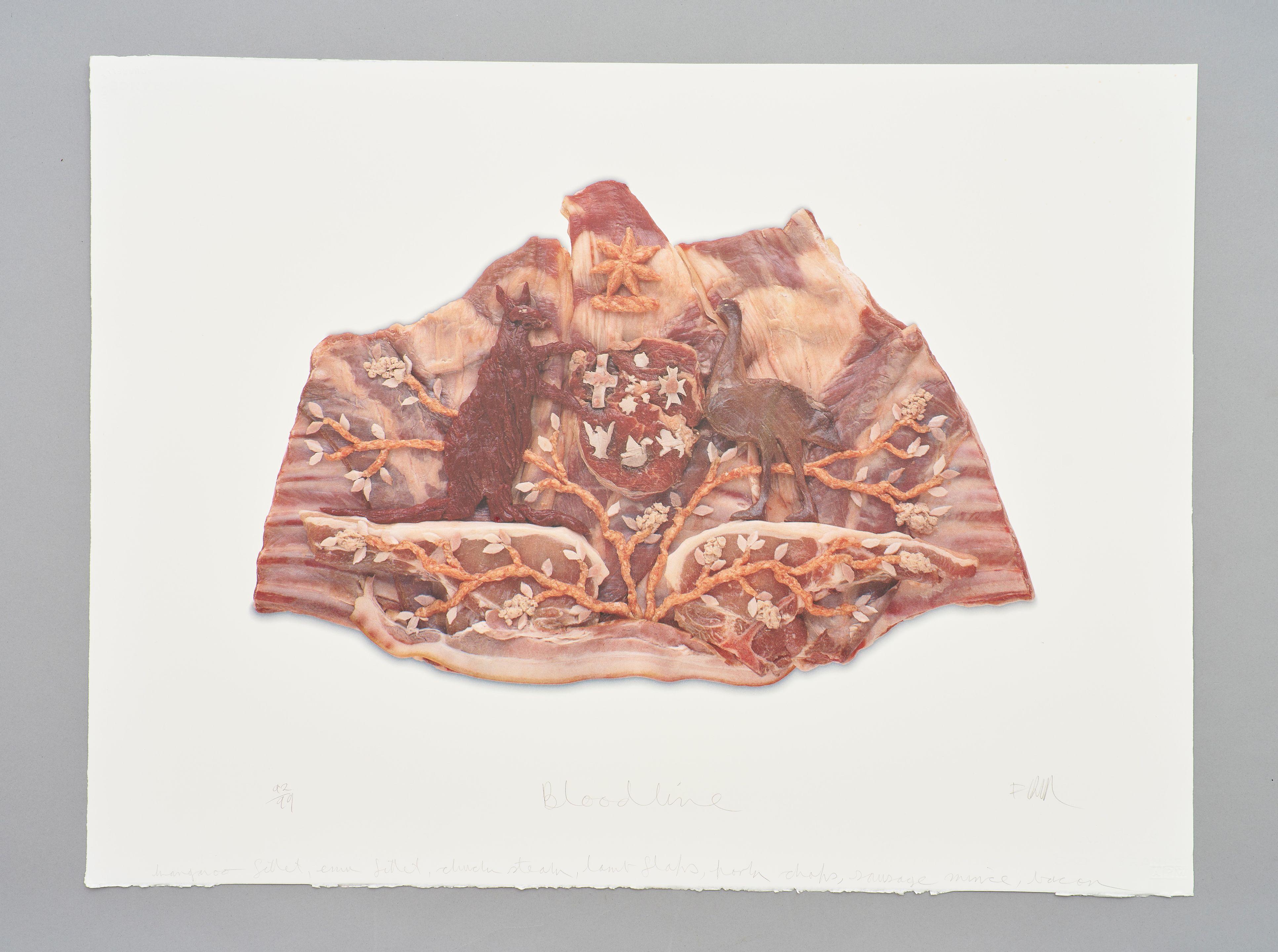 Fiona Hall - Bloodline, 1999,