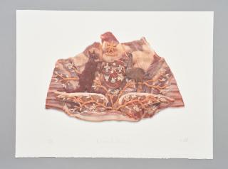 Fiona Hall - Bloodline, 1999,