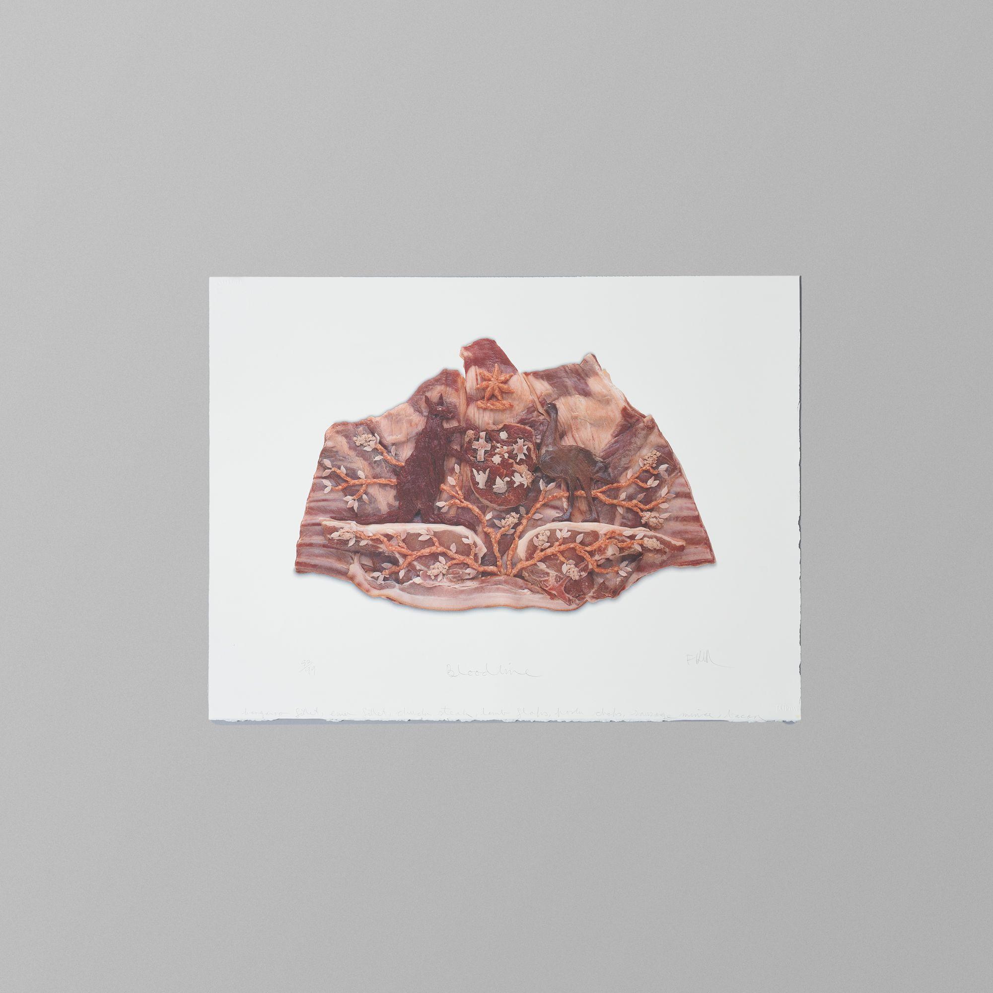 Fiona Hall - Bloodline, 1999