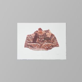 Fiona Hall - Bloodline, 1999