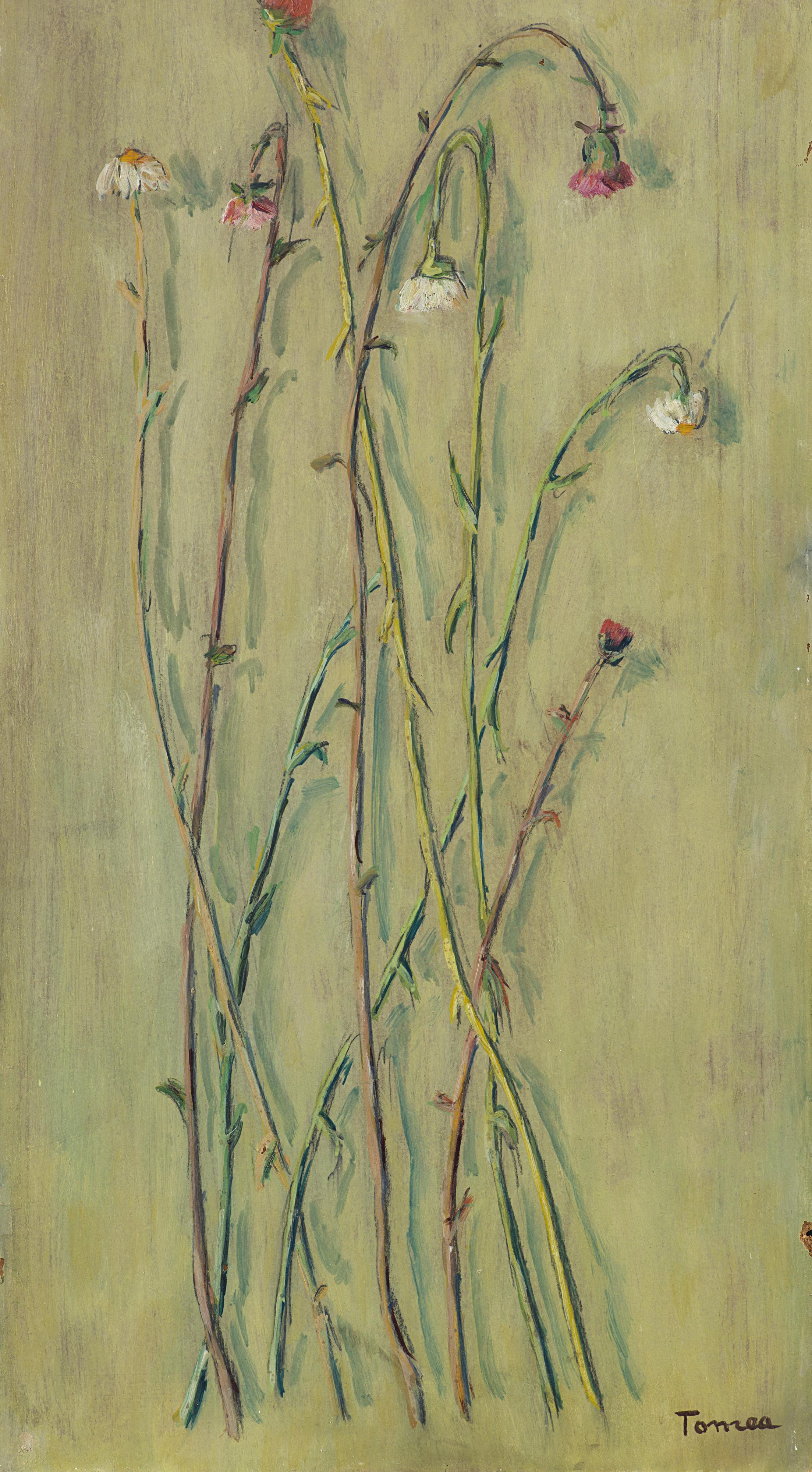 Fiorenzo Tomea - Garofani