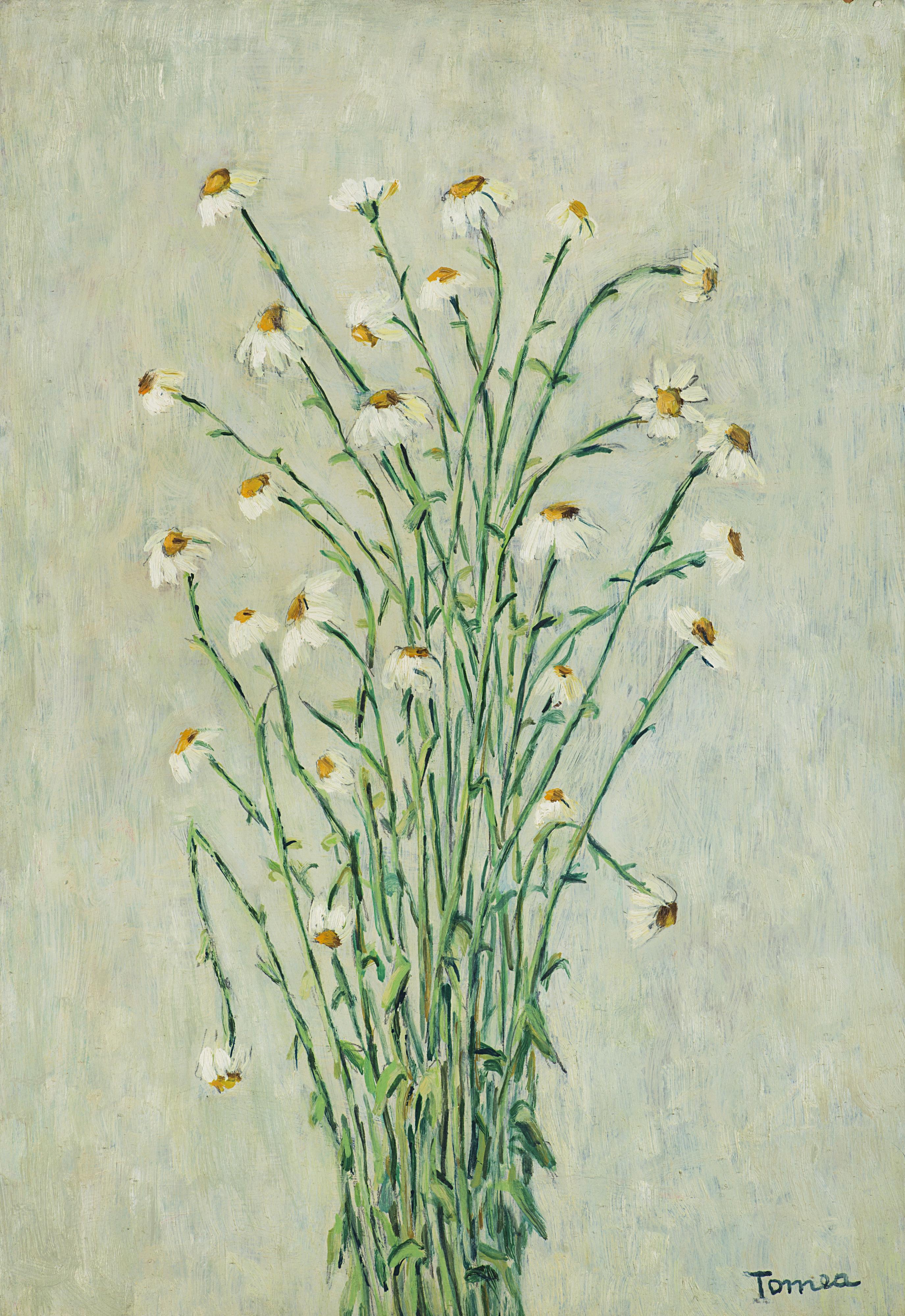 Fiorenzo Tomea - Margherite