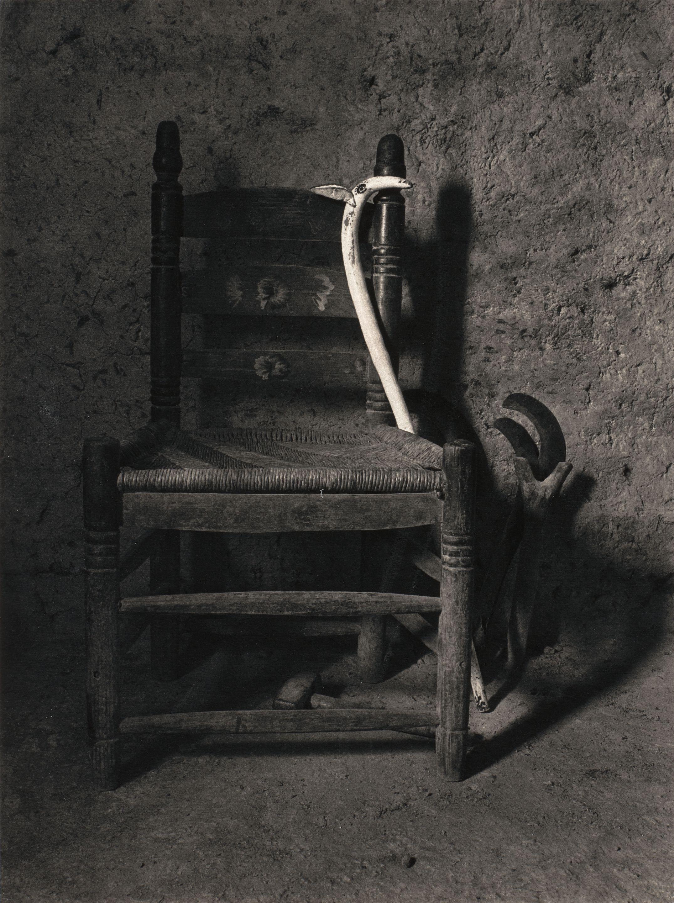 Flor Garduño - Armadillo