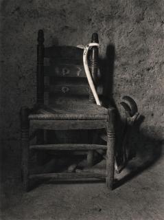 Flor Garduño - Armadillo