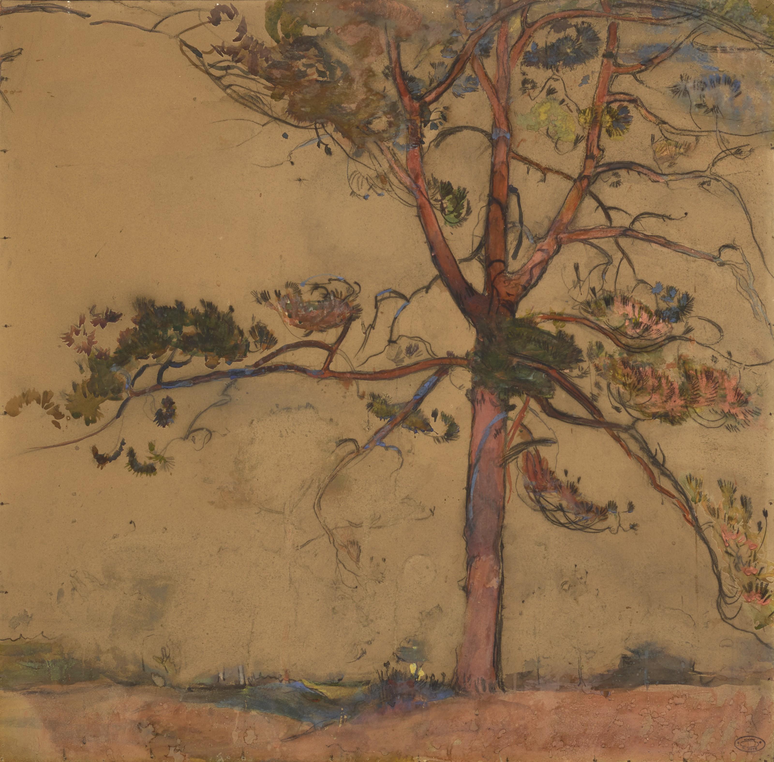 Florence Esté - Pins parasols roses au coucher du soleil