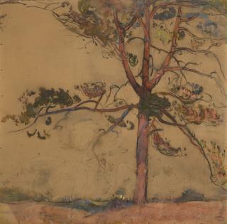 Florence Esté - Pins parasols roses au coucher du soleil