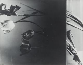 Florence Henri - Composition (Nature Morte).