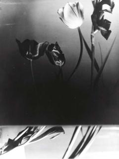 Florence Henri - Selected images