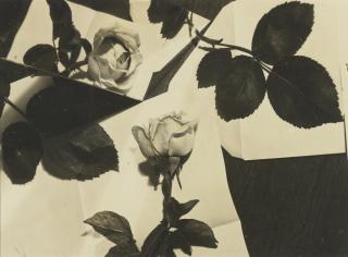 Florence Henri - Still Life Composition