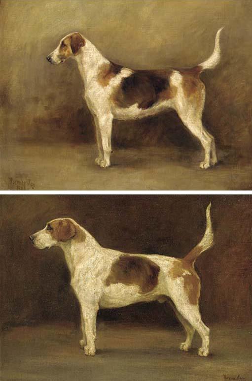 Florence Jay - A beagle; and A foxhound