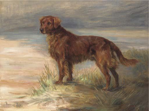 Florence Jay - Micky, a red setter in a landscape