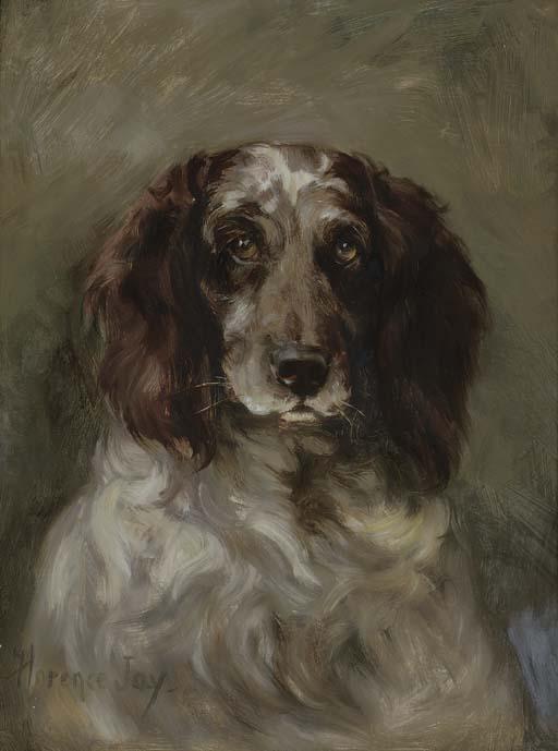 Florence Jay - Portrait of a spaniel