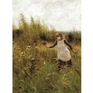 Florence Saltmer - Butterfly Corner