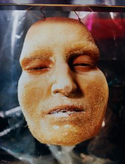 Floria Sigismondi - Hanging face.