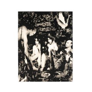 Florian Heinke - Sing or Swim, 2014