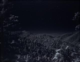 Florian Maier-Aichen - \