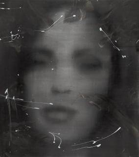 Florian Süssmayr - „Damen & Hennen“