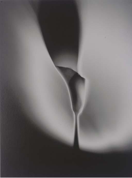 Floris Neususs - Calla, 1997