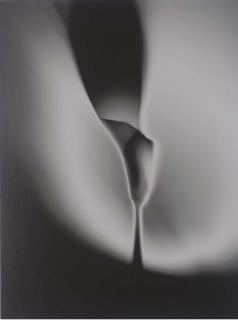 Floris Neususs - Calla, 1997