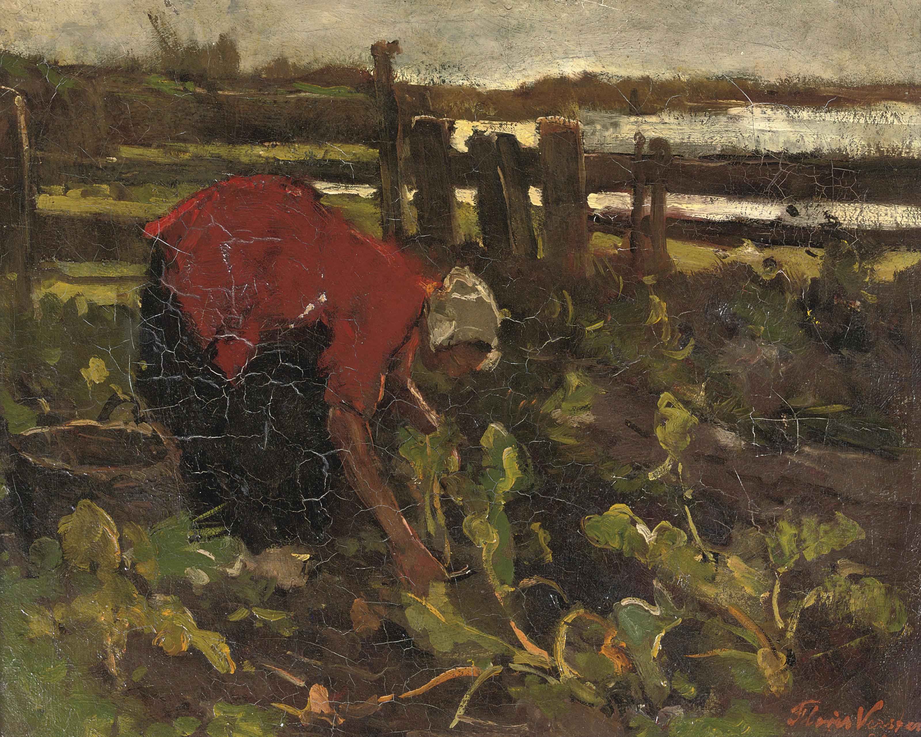 Floris Verster - Koolsnijdster