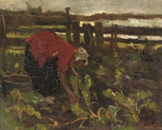 Floris Verster - Koolsnijdster