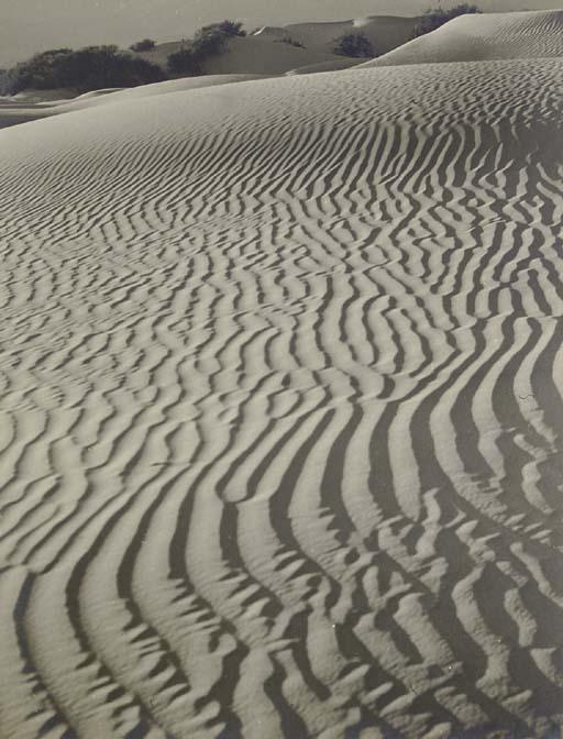 Floyd B. Evans - Landscapes