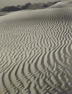 Floyd B. Evans - Landscapes