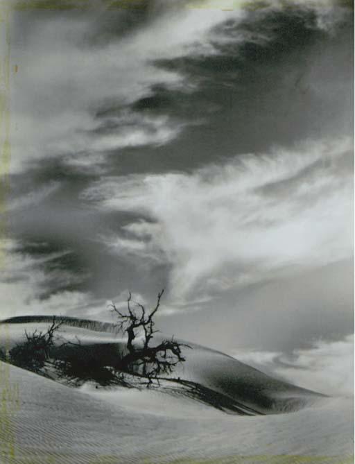 Floyd B. Evans - Landscapes