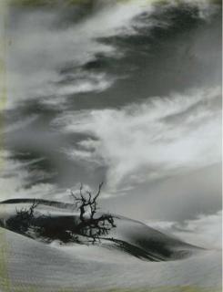 Floyd B. Evans - Landscapes