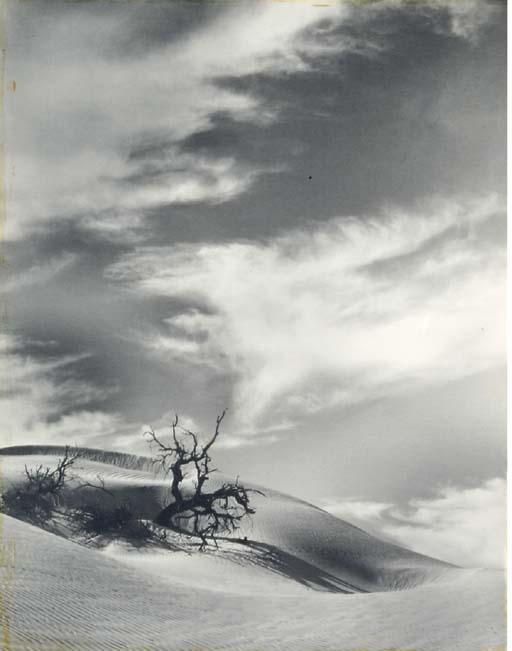 Floyd B. Evans - Landscapes