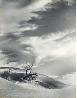 Floyd B. Evans - Landscapes