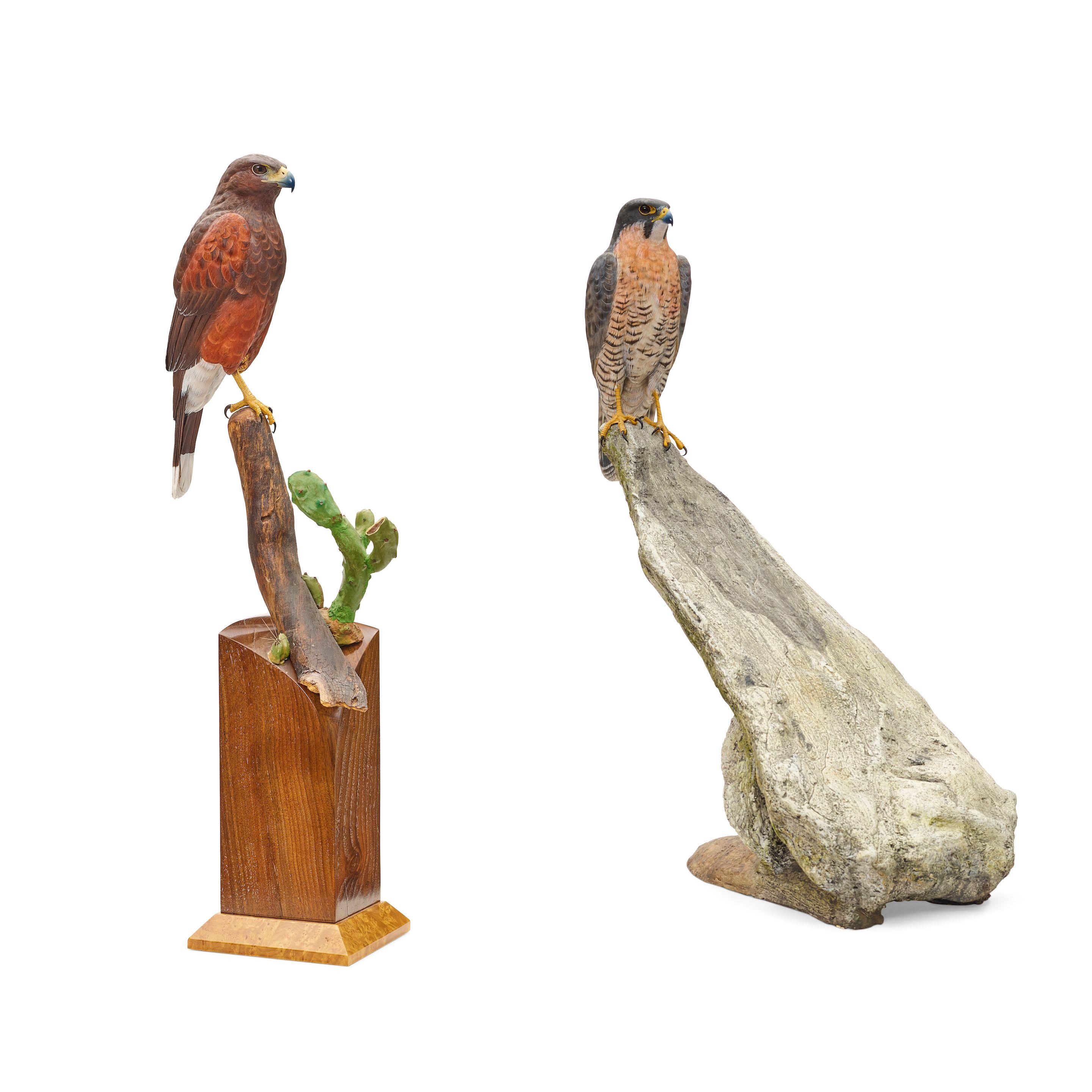 Floyd Scholz - Harris Hawk and Arctic Shadow (a group of two)