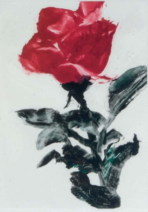 Forrest K. Moses - [Rose]