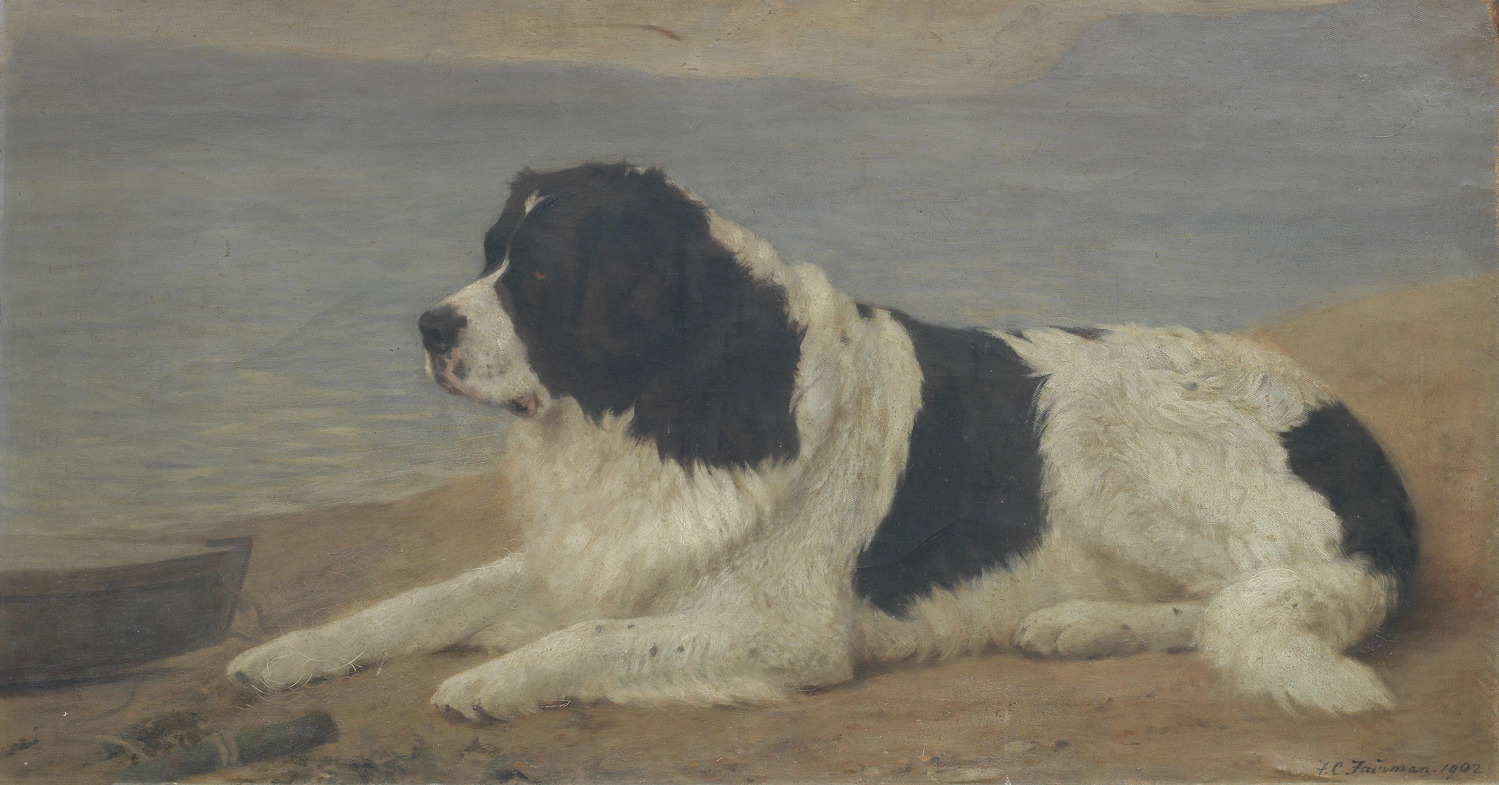 Frances C. Fairman - A Landseer Newfoundland