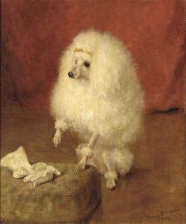 Frances C. Fairman - Portrait of A Poodle