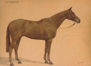 Frances Mabel Hollams, S.W.A. - Lindbergh