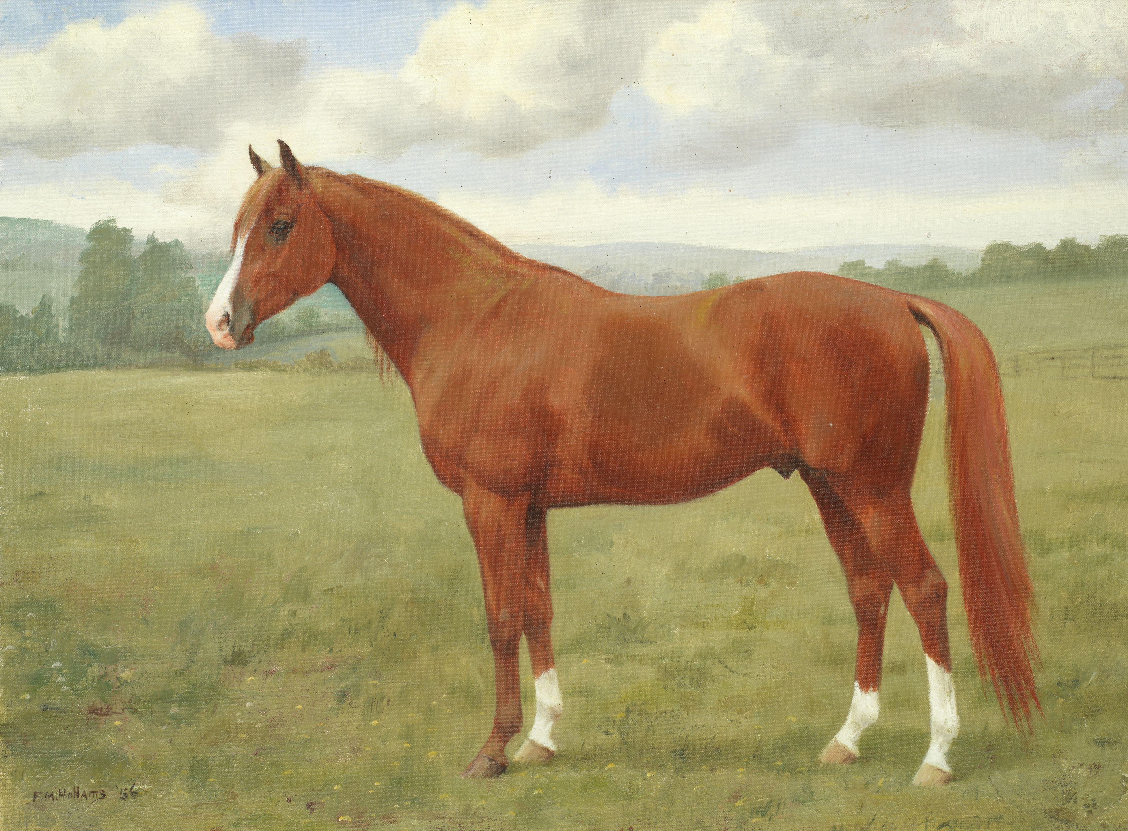 Frances Mabel Hollams - A Chestnut Stallion In A Field