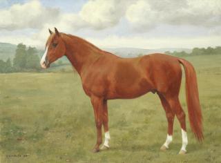 Frances Mabel Hollams - A Chestnut Stallion In A Field