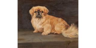 Frances Mabel Hollams - A Portrait of the Pekinese Wonkey