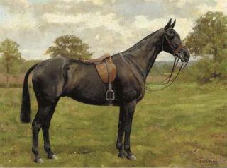 Frances Mabel Hollams - A saddled liver chestnut hunter in a paddock