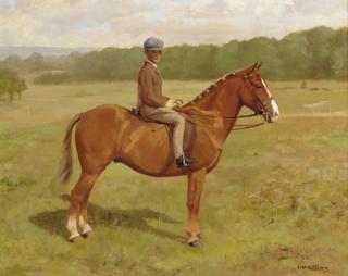 Frances Mabel Hollams - A Young Boy On A Chestnut Hunter