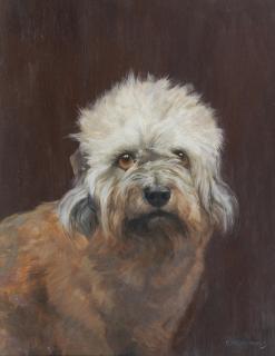 Frances Mabel Hollams - \'Algy\' - A Dandie Dinmont