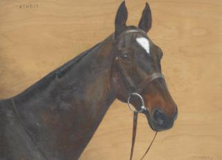 Frances Mabel Hollams - Athboy