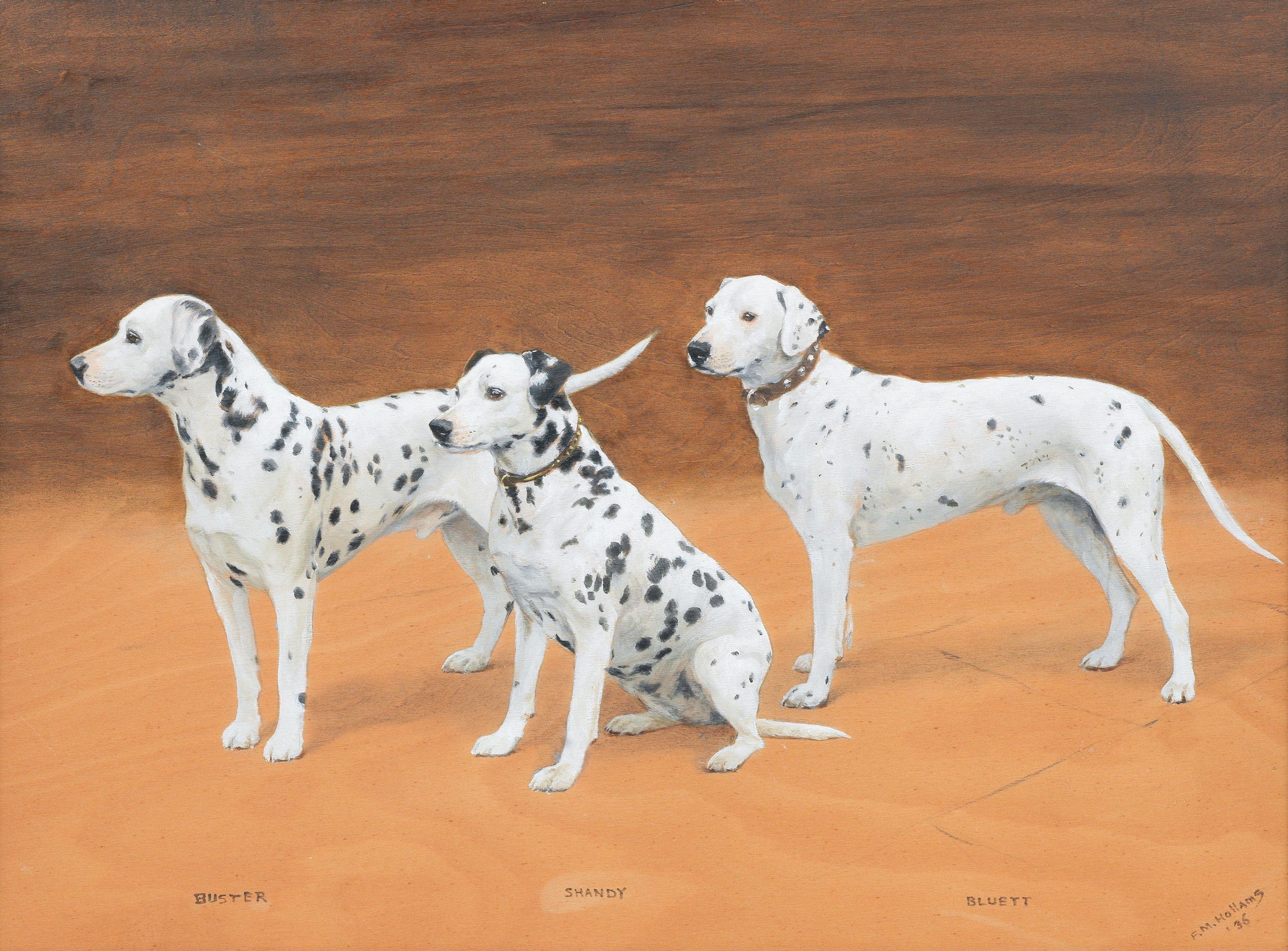 Frances Mabel Hollams - \'Buster\', \'Shandy\', and \'Bluett\' - Dalmatians