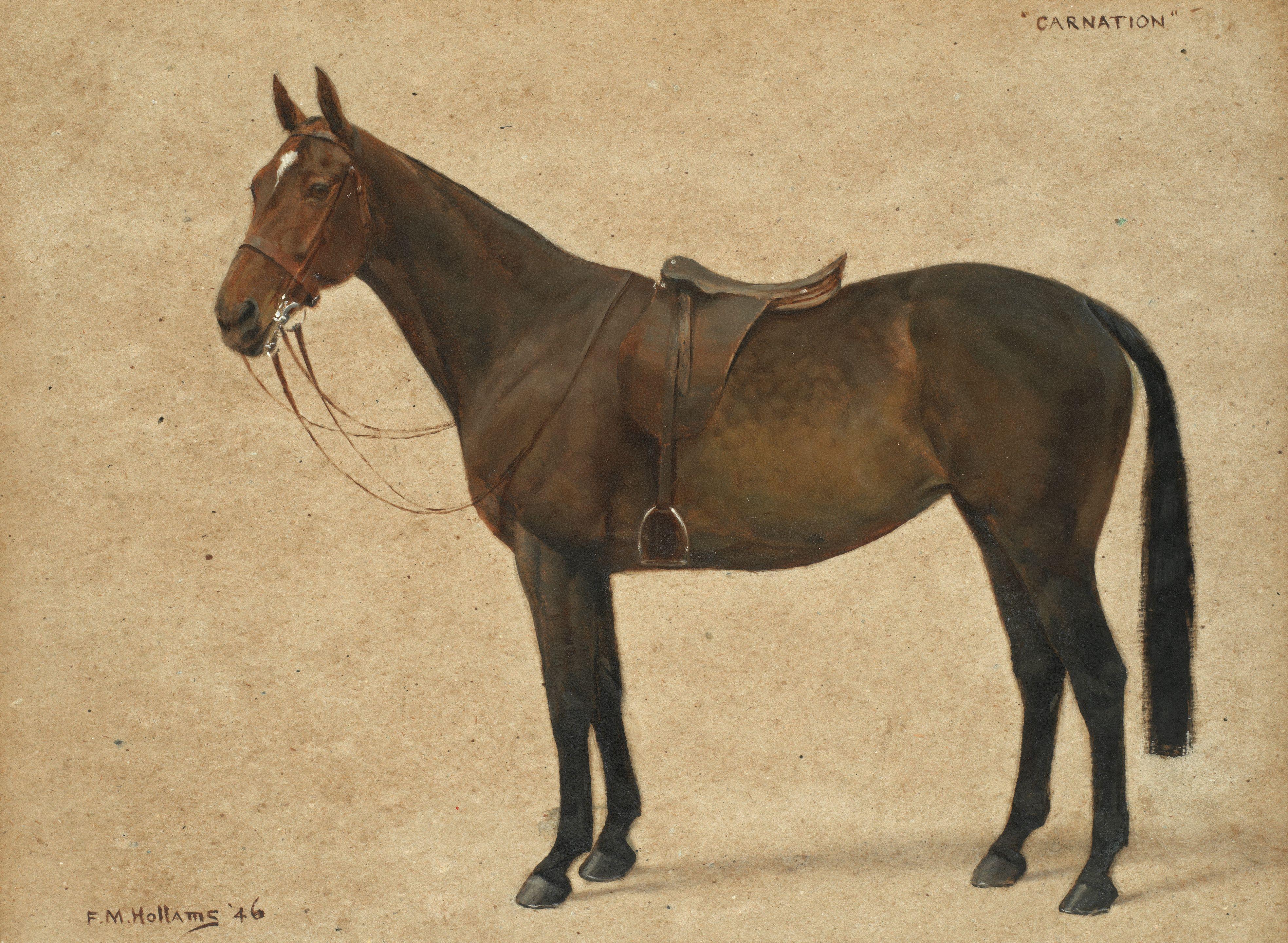 Frances Mabel Hollams - \'Carnation\'