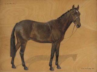 Frances Mabel Hollams - Charles, a bridled brown hunter