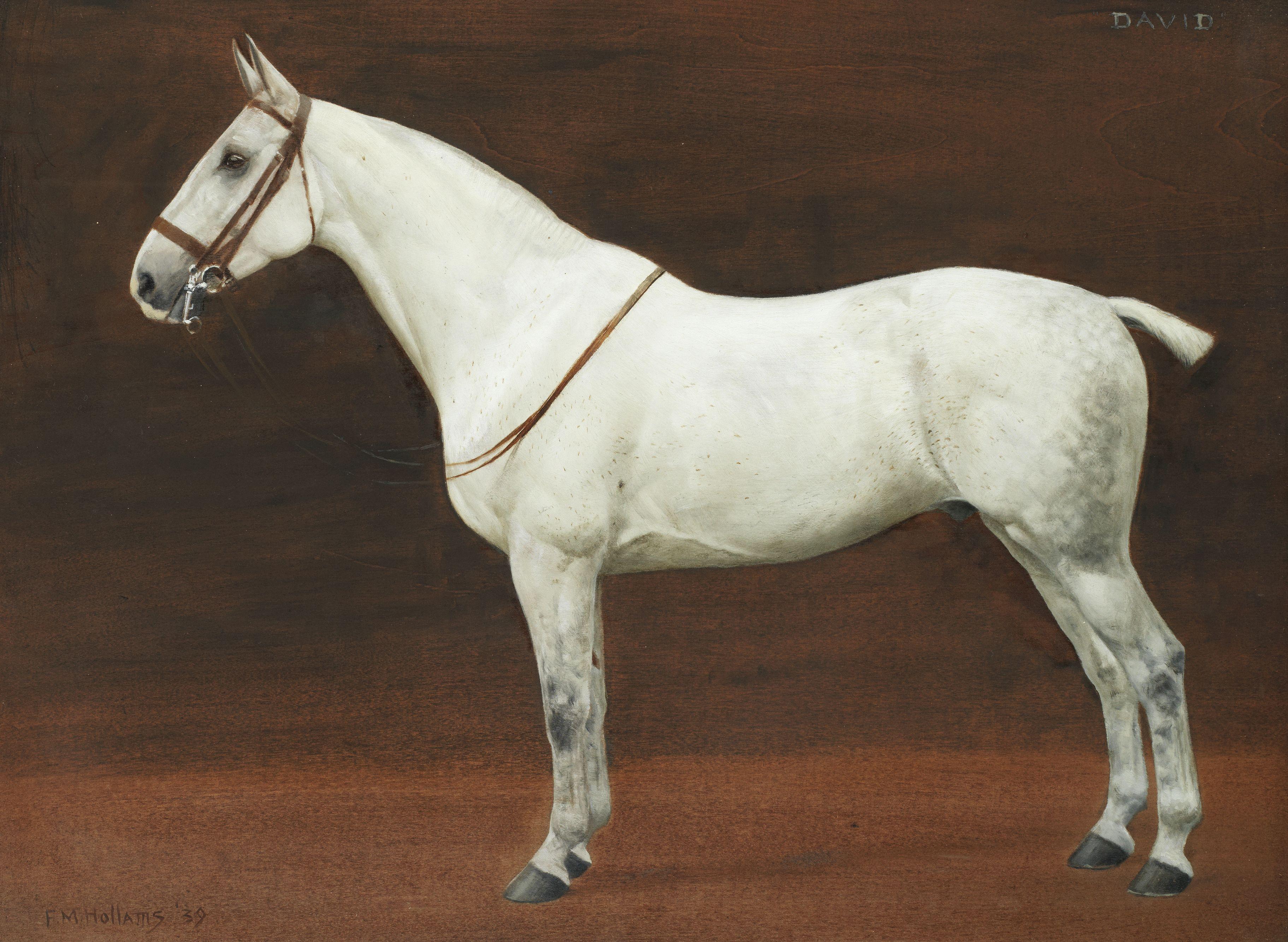 Frances Mabel Hollams - \'David\'